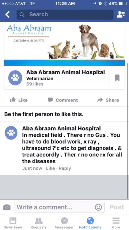 Aba Abraam Animal Hospital, Florida, Tampa